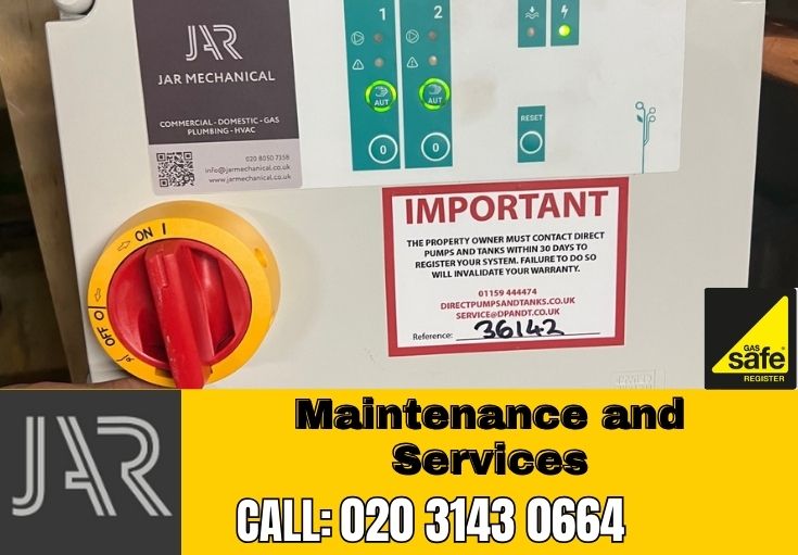 Domestic Maintenance and Services Ealing